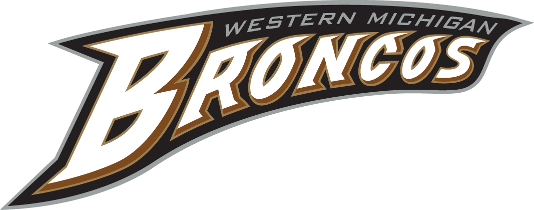 Western Michigan Broncos 1998-Pres Wordmark Logo DIY iron on transfer (heat transfer)